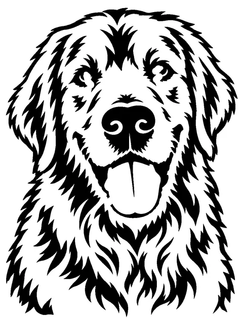Golden retriever pumpkin stencil made from the photo